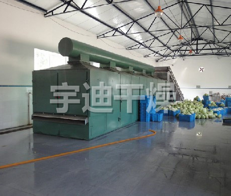 DWT系列脱水蔬菜干燥机