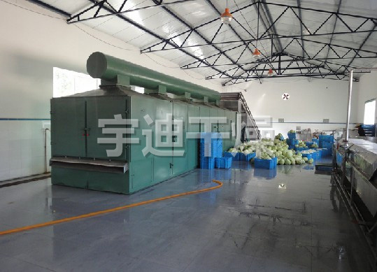 DWT系列脱水蔬菜干燥机