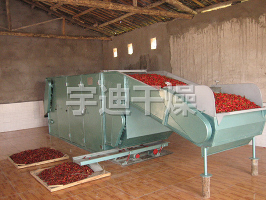 DWT系列脱水蔬菜干燥机
