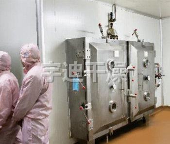 BZG（板式）真空干燥机